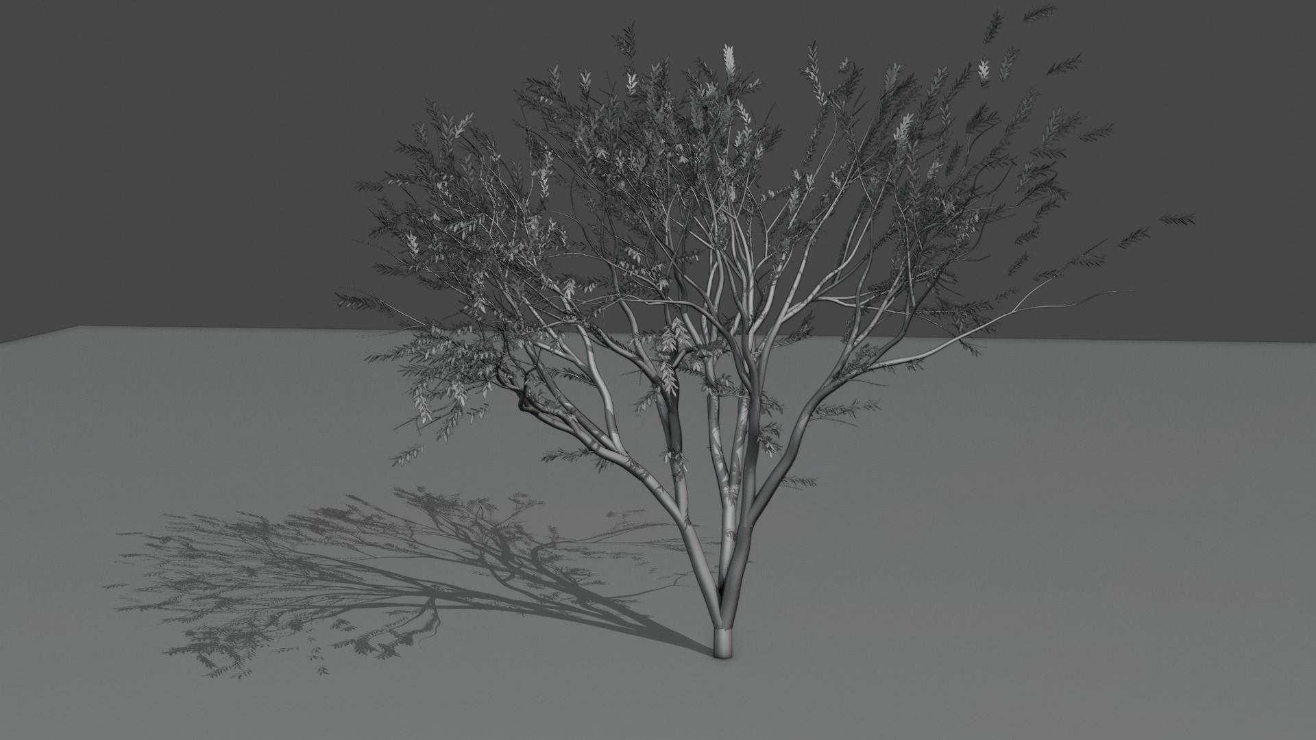 the animated tree Free low-poly 3D model_10