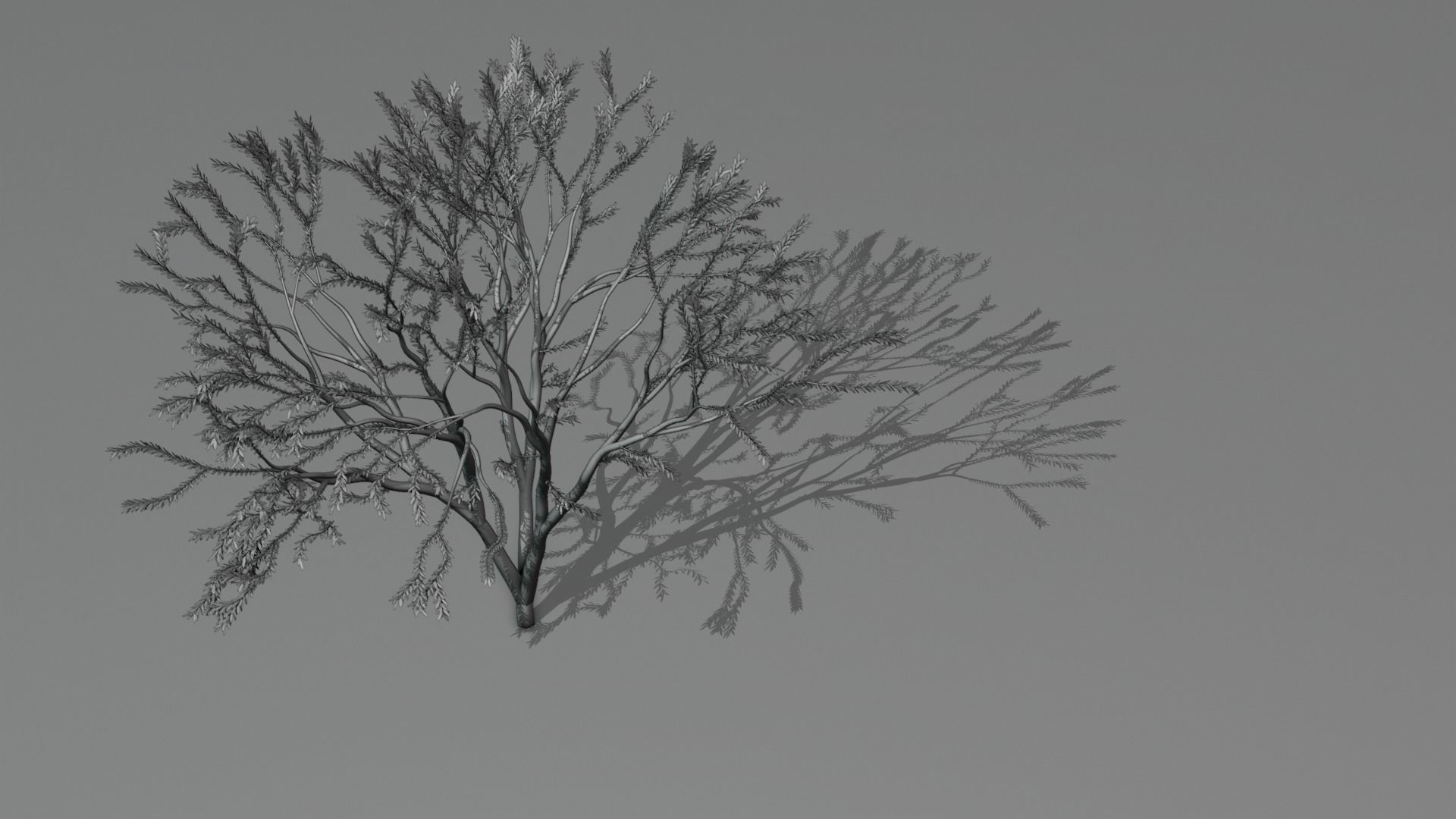 the animated tree Free low-poly 3D model_9