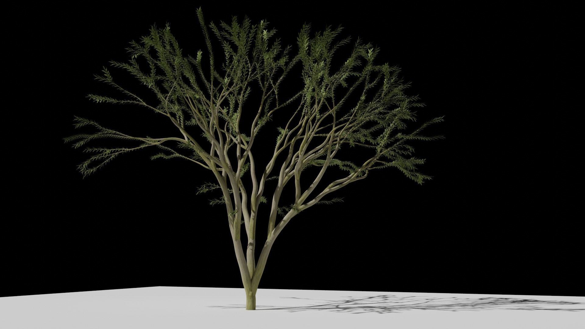 the animated tree Free low-poly 3D model_3