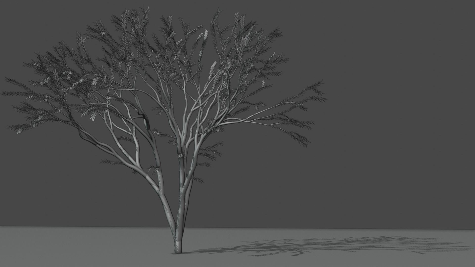 the animated tree Free low-poly 3D model_7
