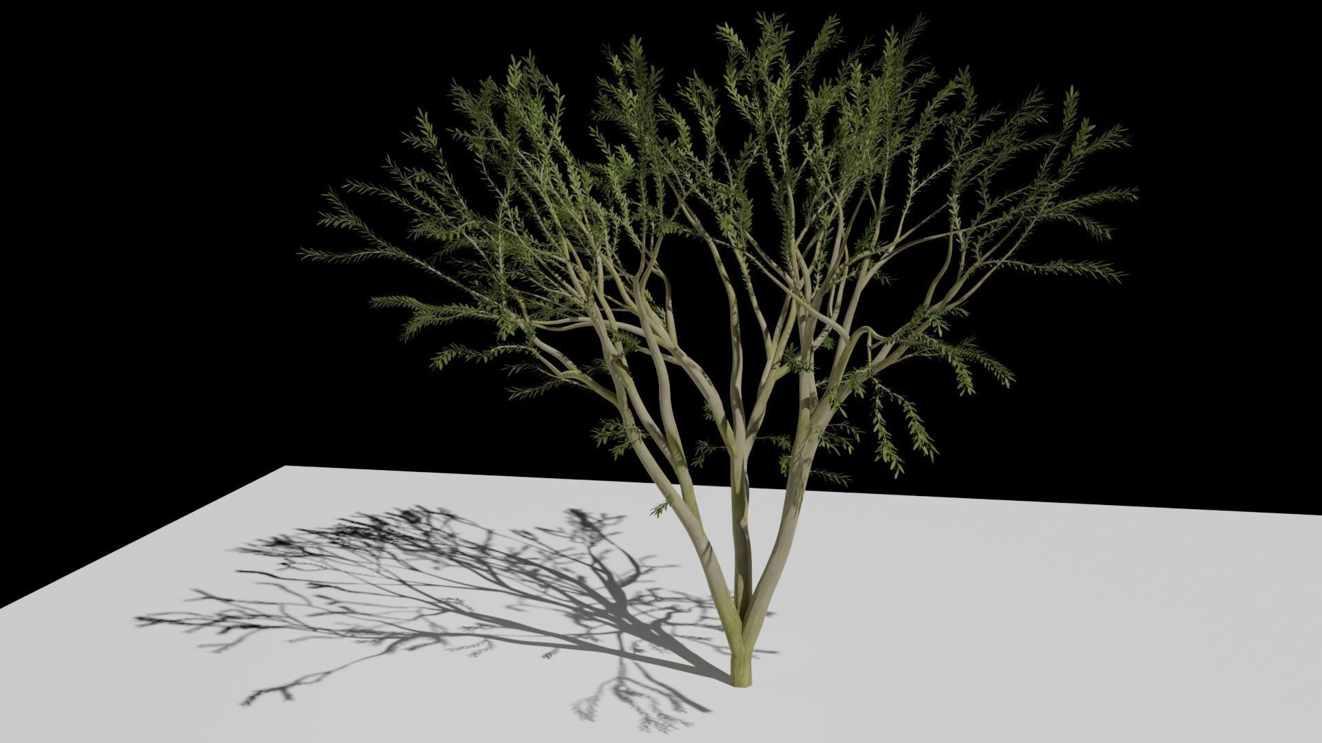 the animated tree Free low-poly 3D model_1