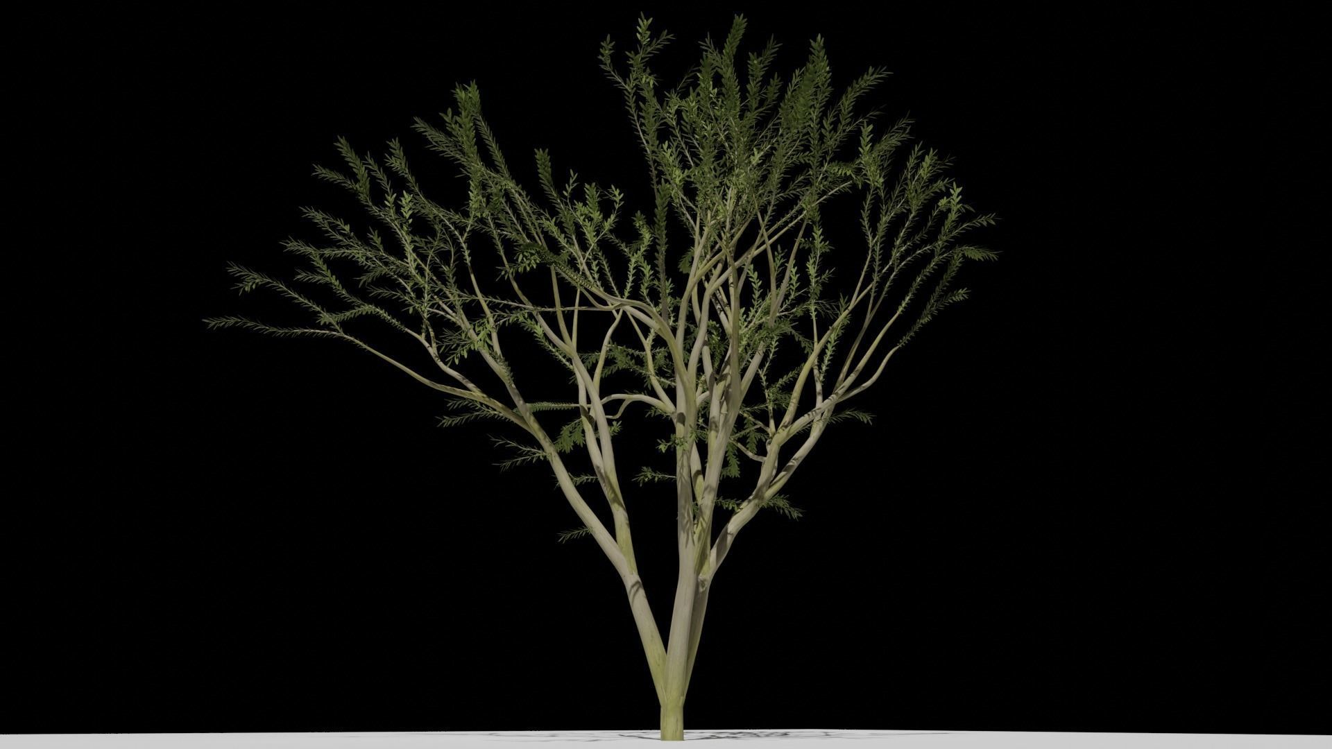 the animated tree Free low-poly 3D model_2