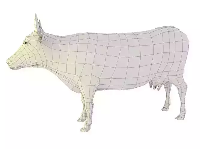 cow base mesh