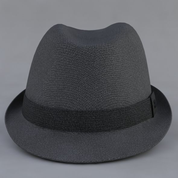 hat 3d fedora 3D model_4