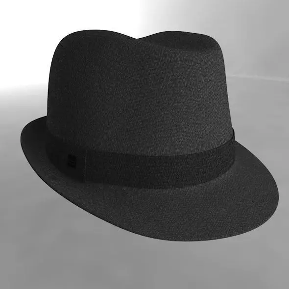 hat 3d fedora 3D model_0