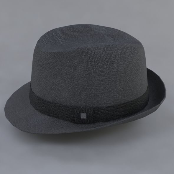 hat 3d fedora 3D model_3
