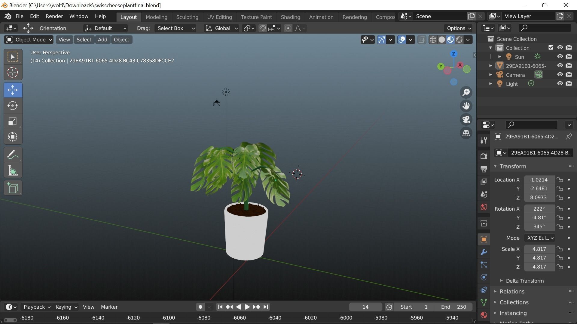 Swiss cheese plant 3D model_7