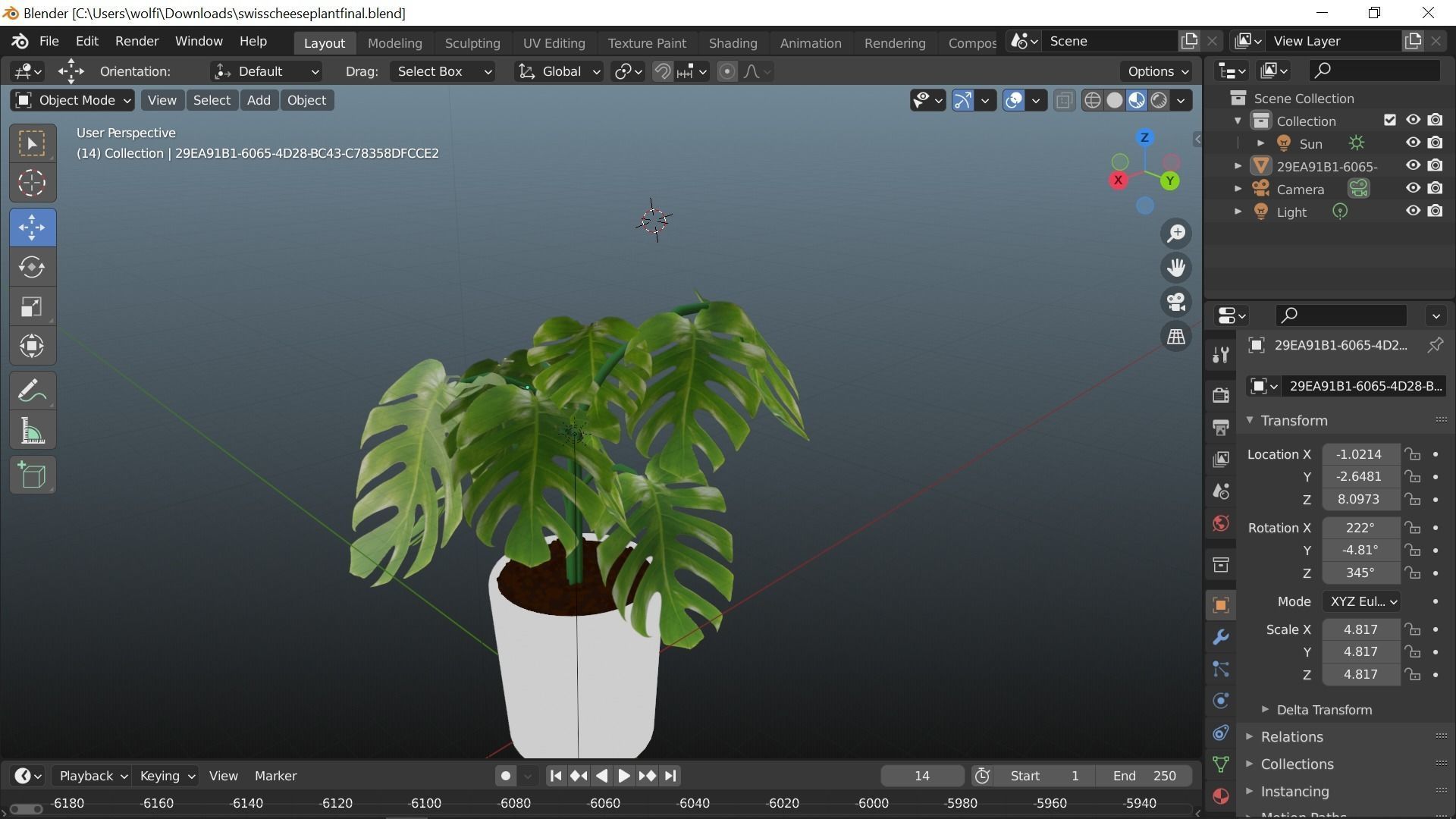 Swiss cheese plant 3D model_3