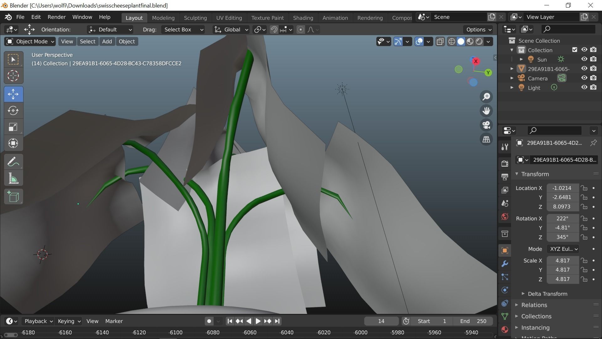 Swiss cheese plant 3D model_11