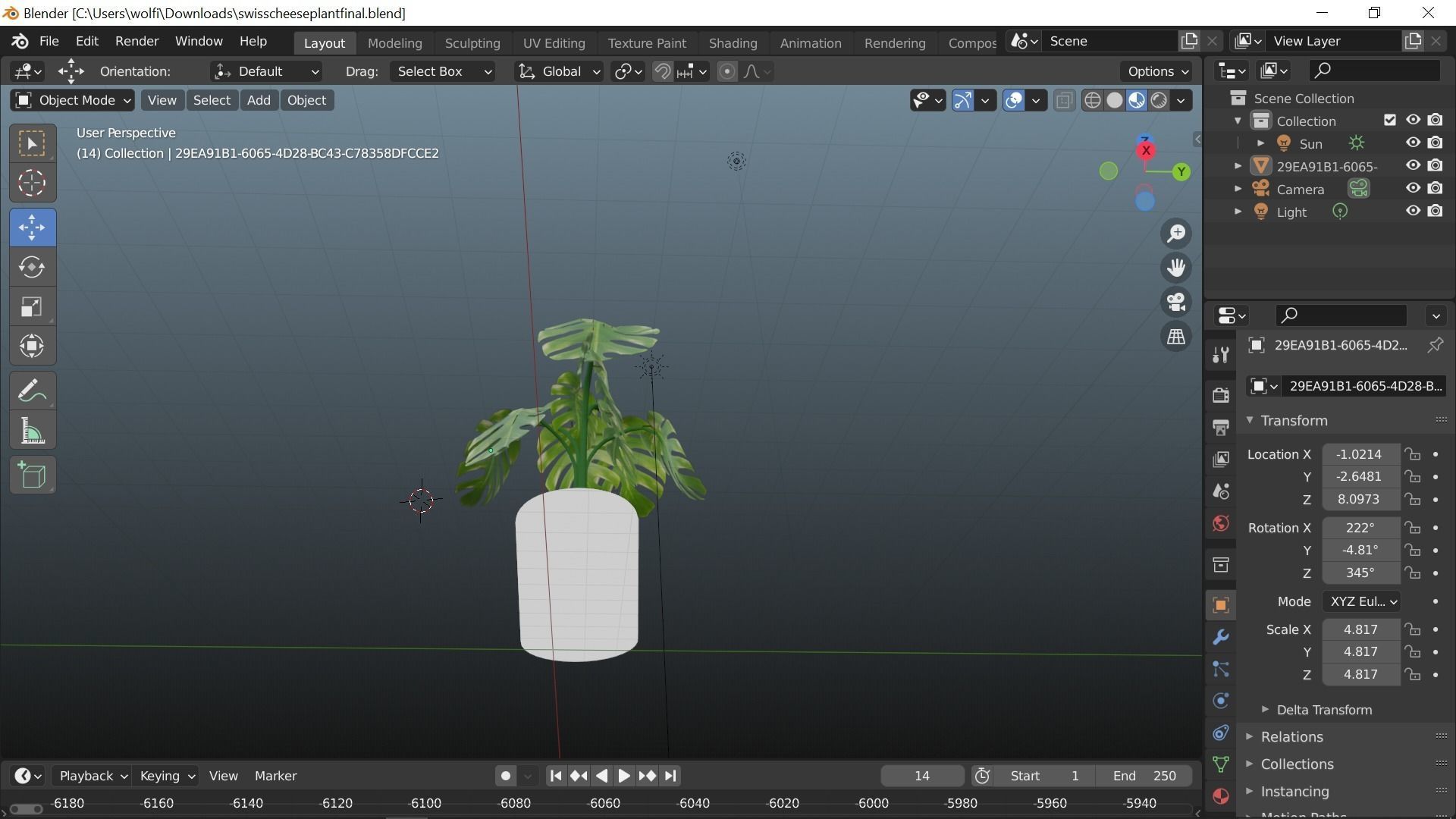 Swiss cheese plant 3D model_5