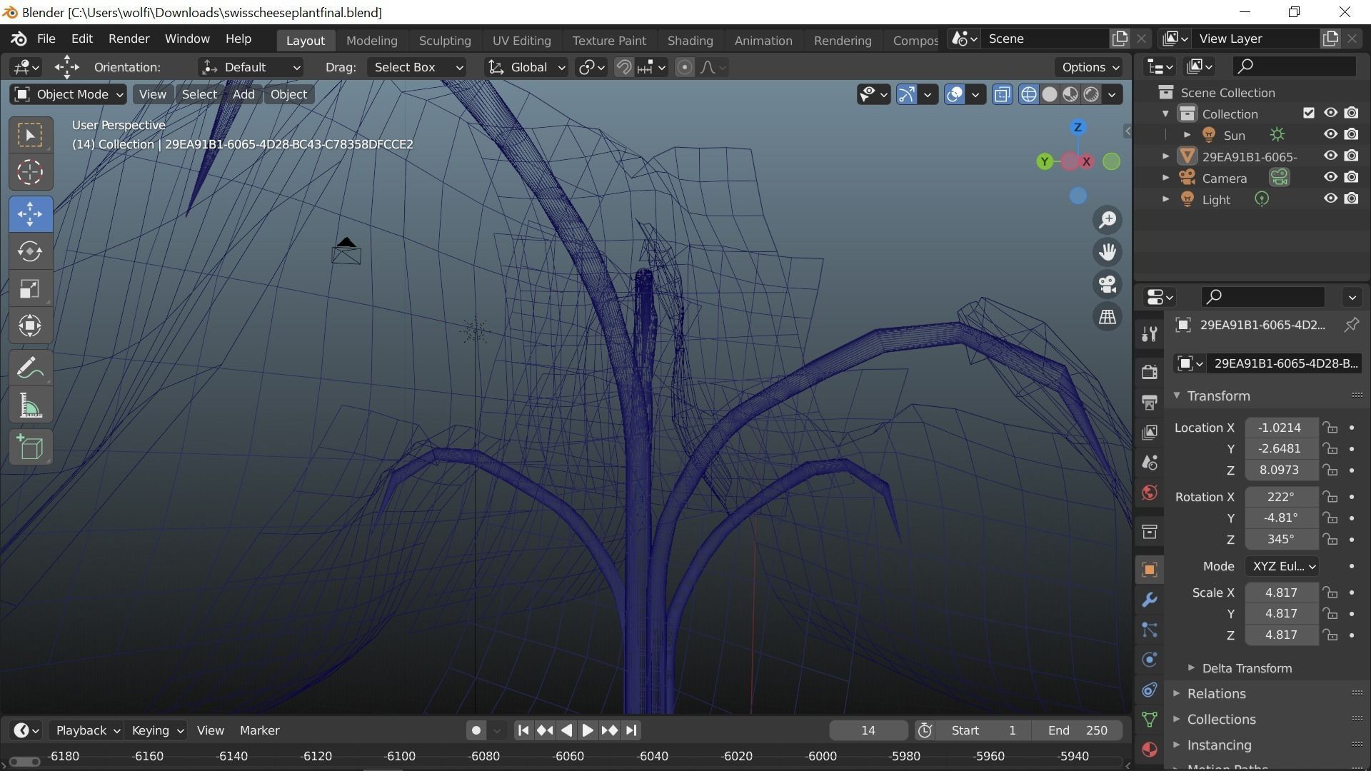 Swiss cheese plant 3D model_8