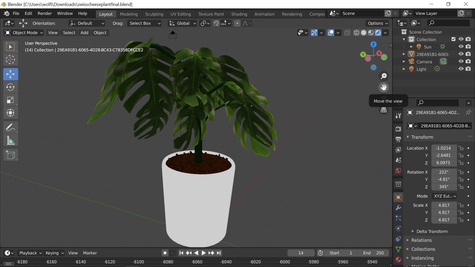 Swiss cheese plant 3D model_12