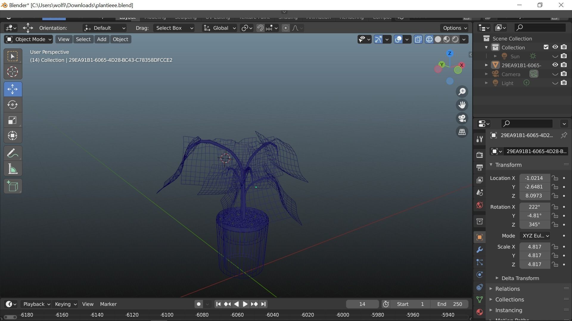 Swiss cheese plant 3D model_1