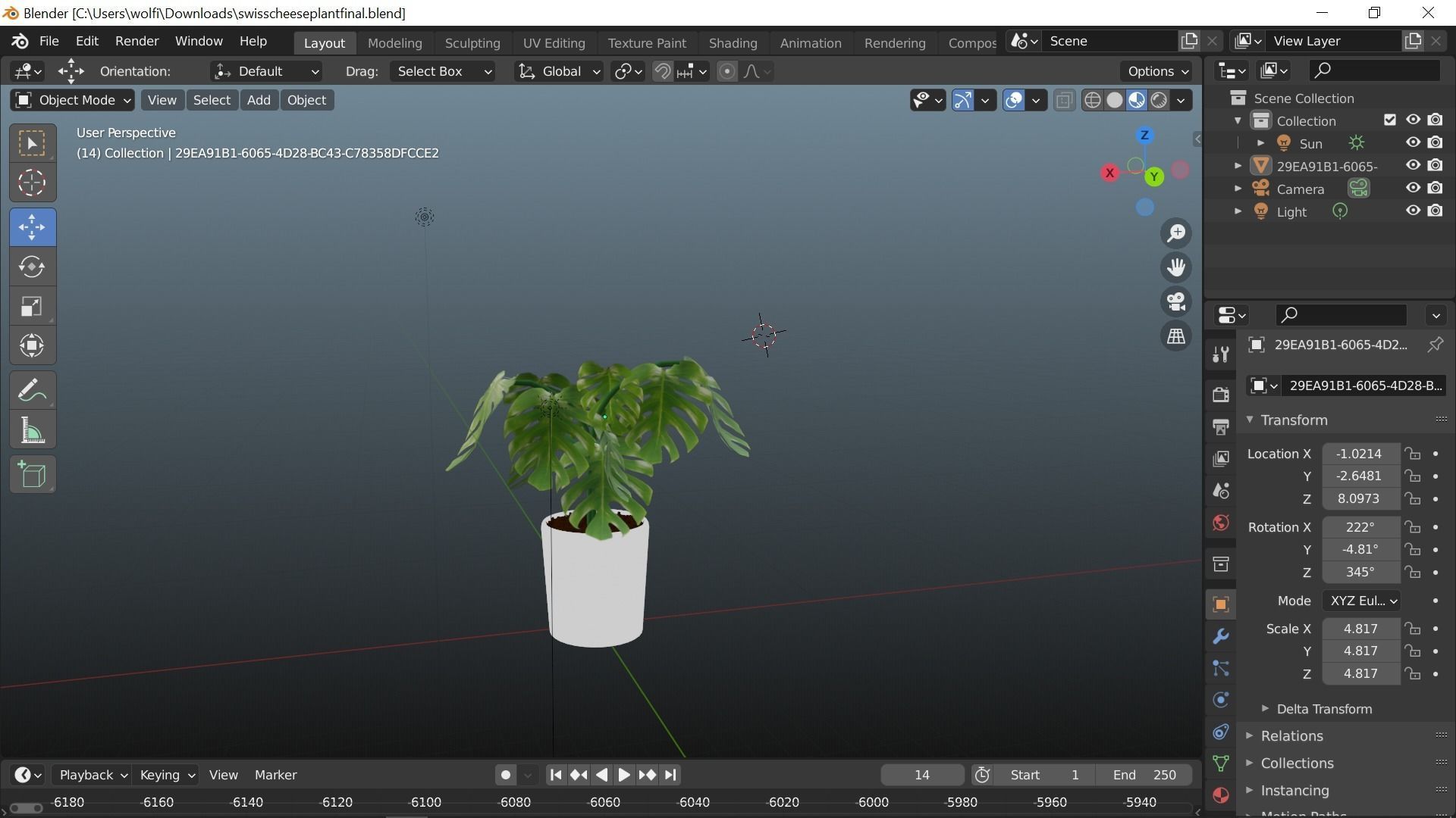 Swiss cheese plant 3D model_6