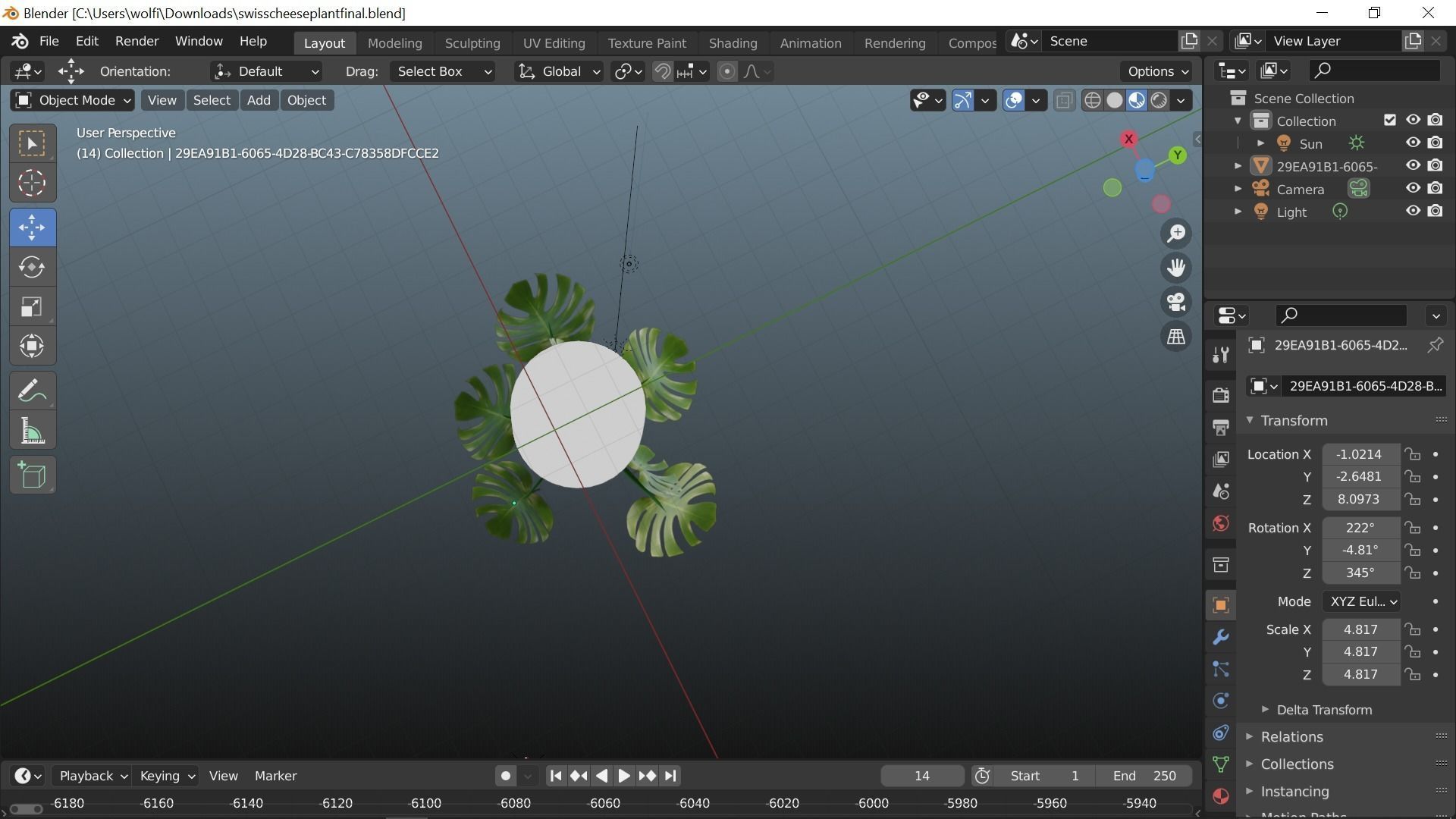 Swiss cheese plant 3D model_4