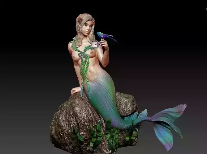  mermaid with a bird 