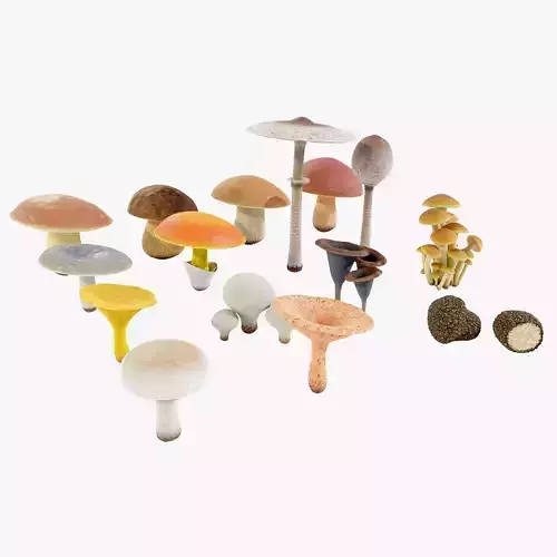 Mushrooms Collection