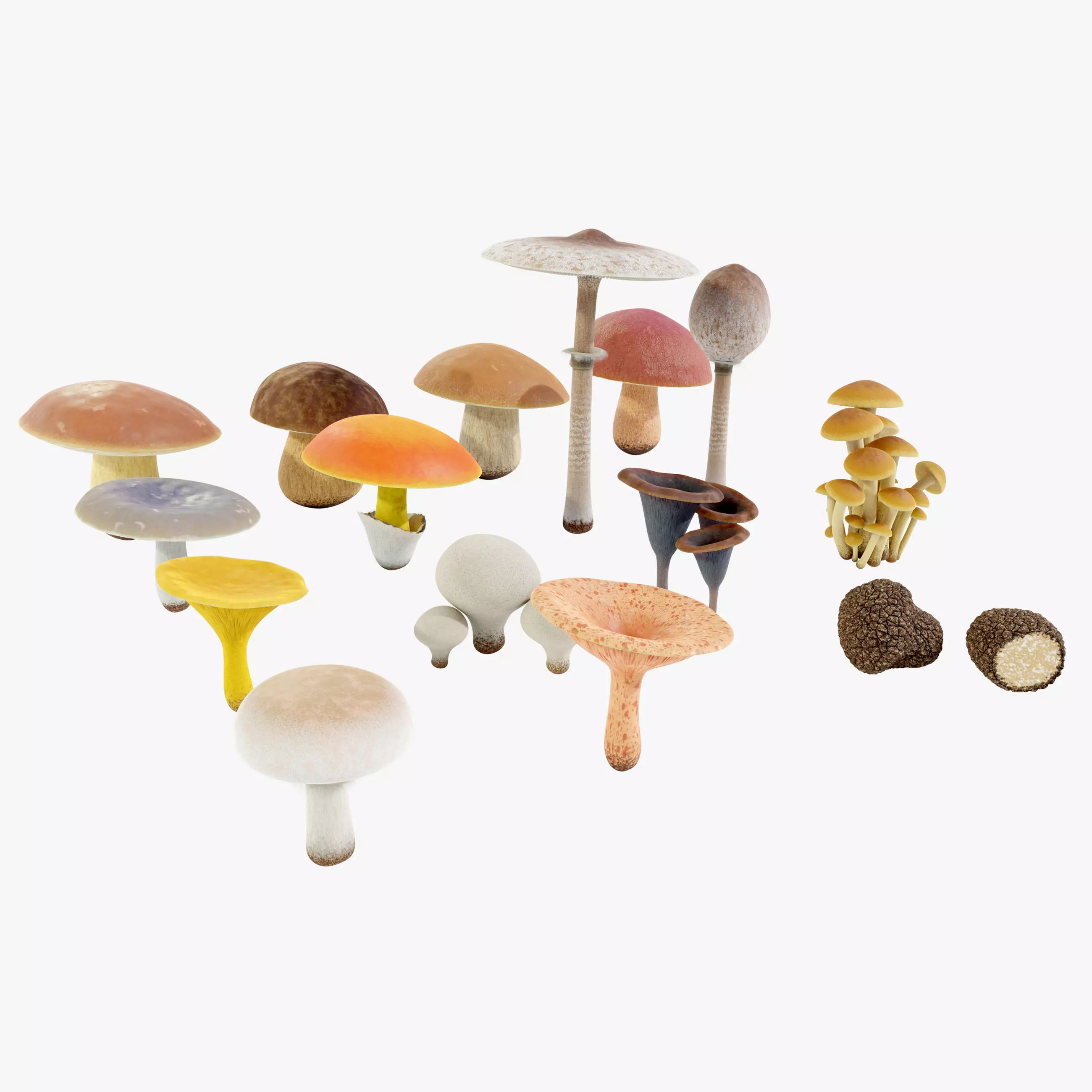 Mushrooms Collection 3D model