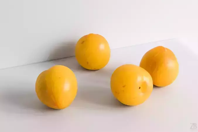 Plum  3D model