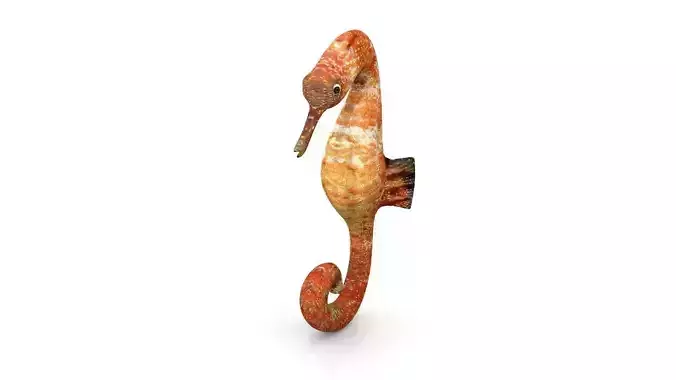 sea horse Low-poly 3D model