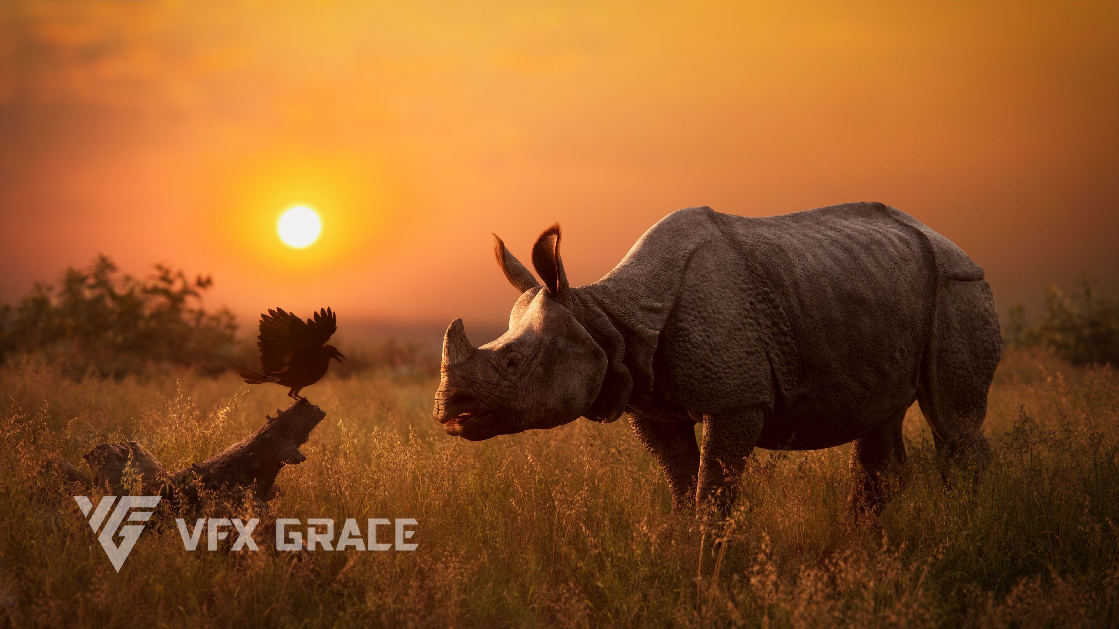 Indian Rhinoceros Rigged  VFX Grace 3D model_3