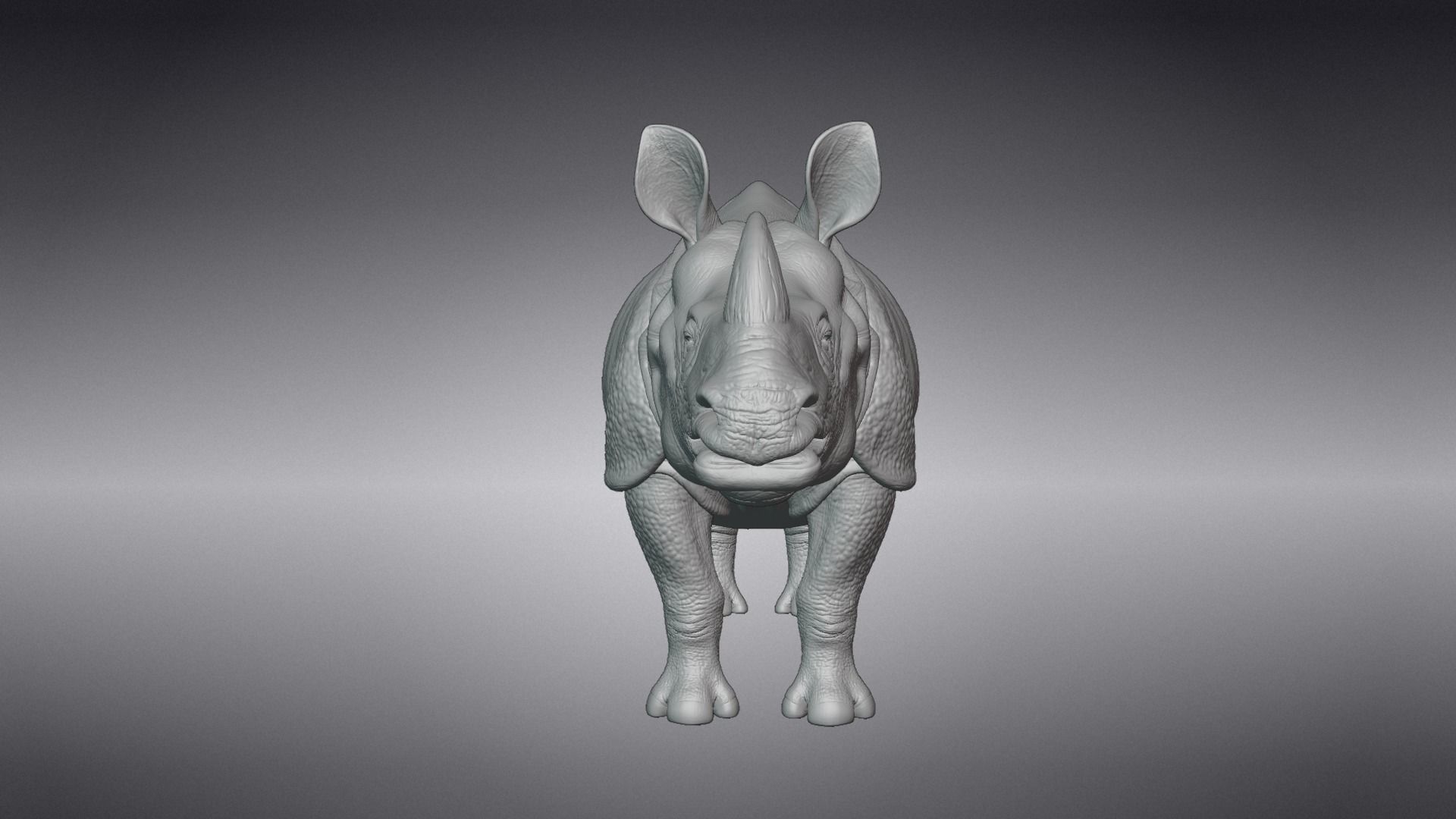 Indian Rhinoceros Rigged  VFX Grace 3D model_12