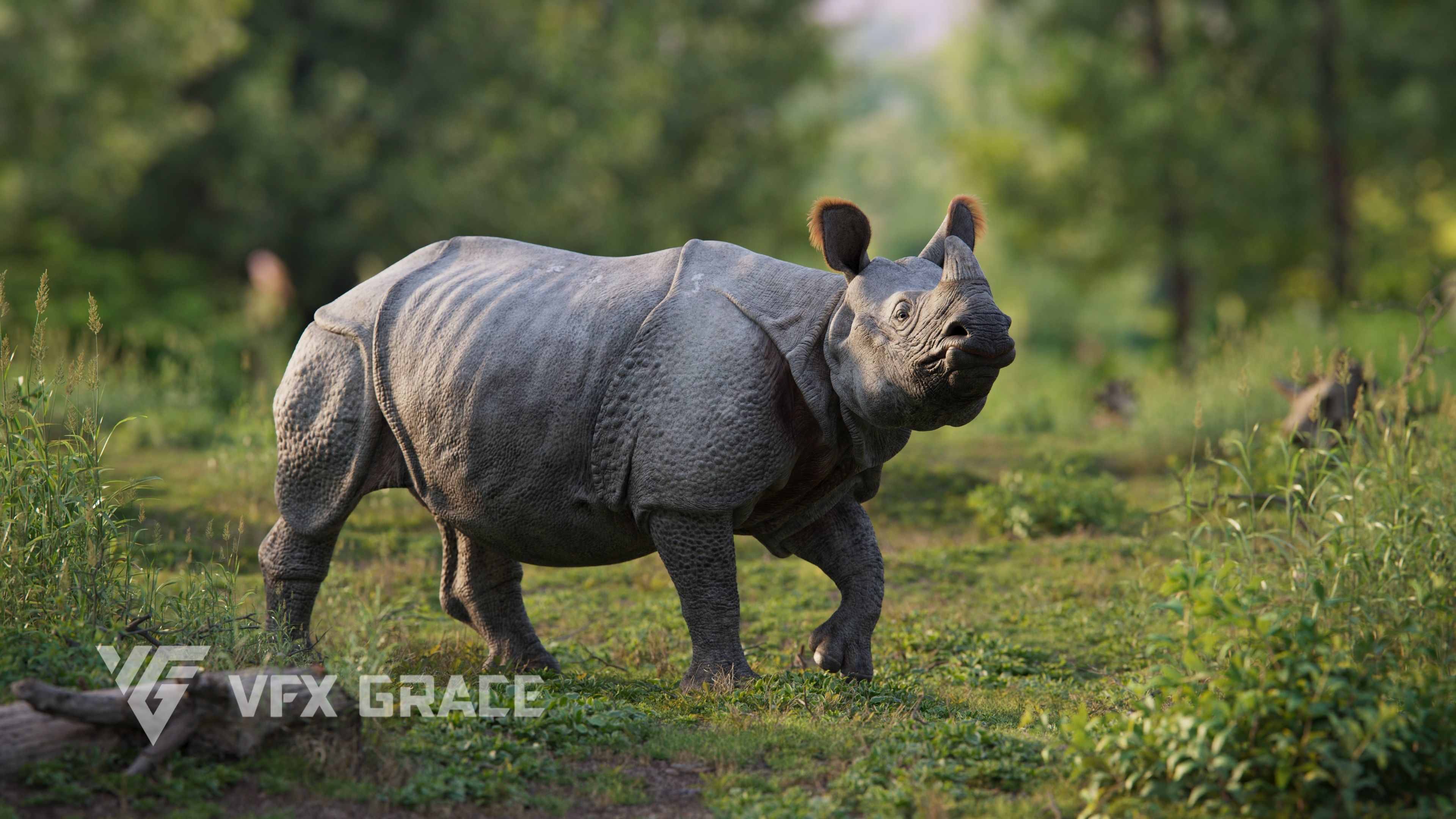Indian Rhinoceros Rigged  VFX Grace 3D model_1