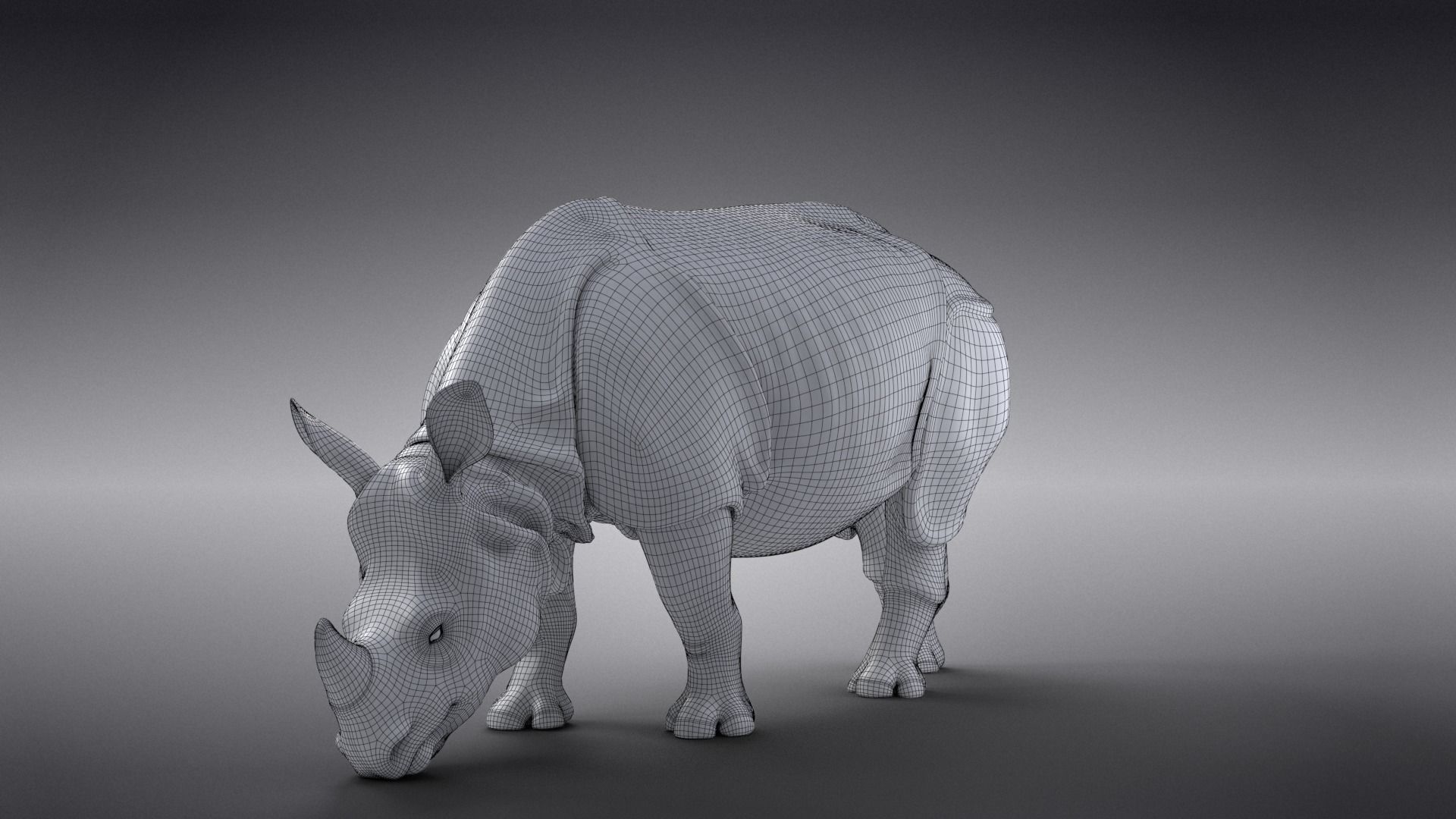 Indian Rhinoceros Rigged  VFX Grace 3D model_23