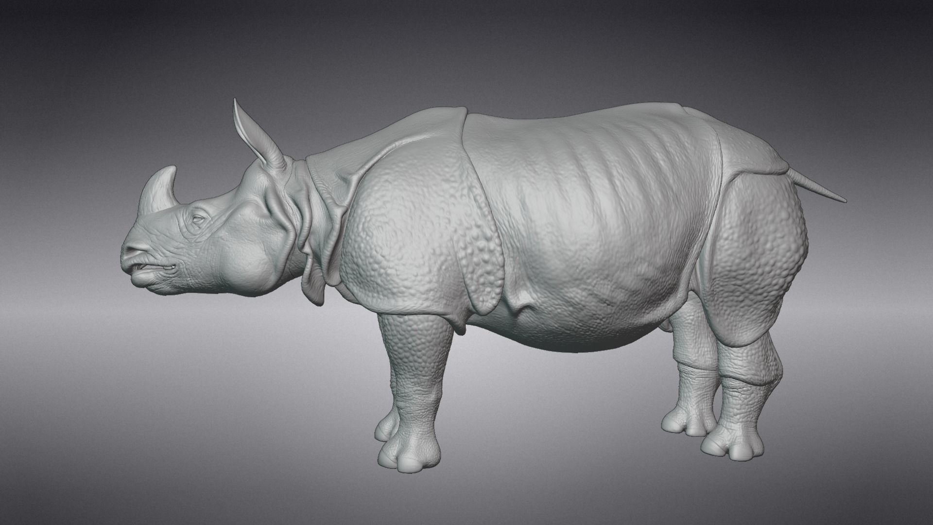 Indian Rhinoceros Rigged  VFX Grace 3D model_11