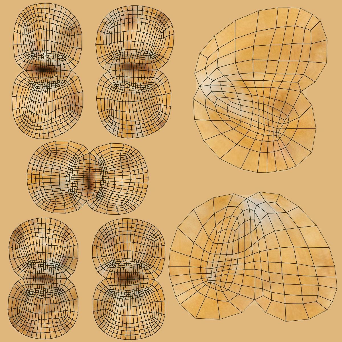 Indian Rhinoceros Rigged  VFX Grace 3D model_19