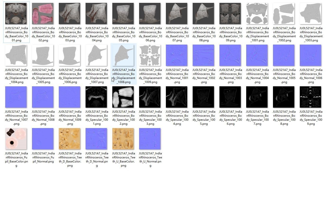 Indian Rhinoceros Rigged  VFX Grace 3D model_21