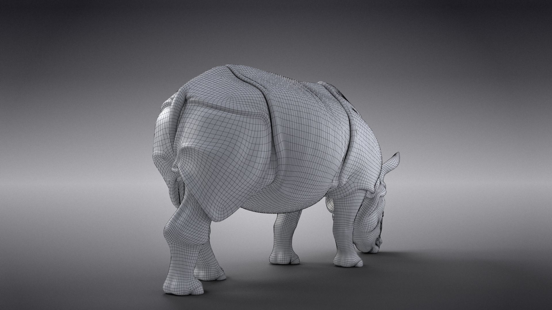 Indian Rhinoceros Rigged  VFX Grace 3D model_24