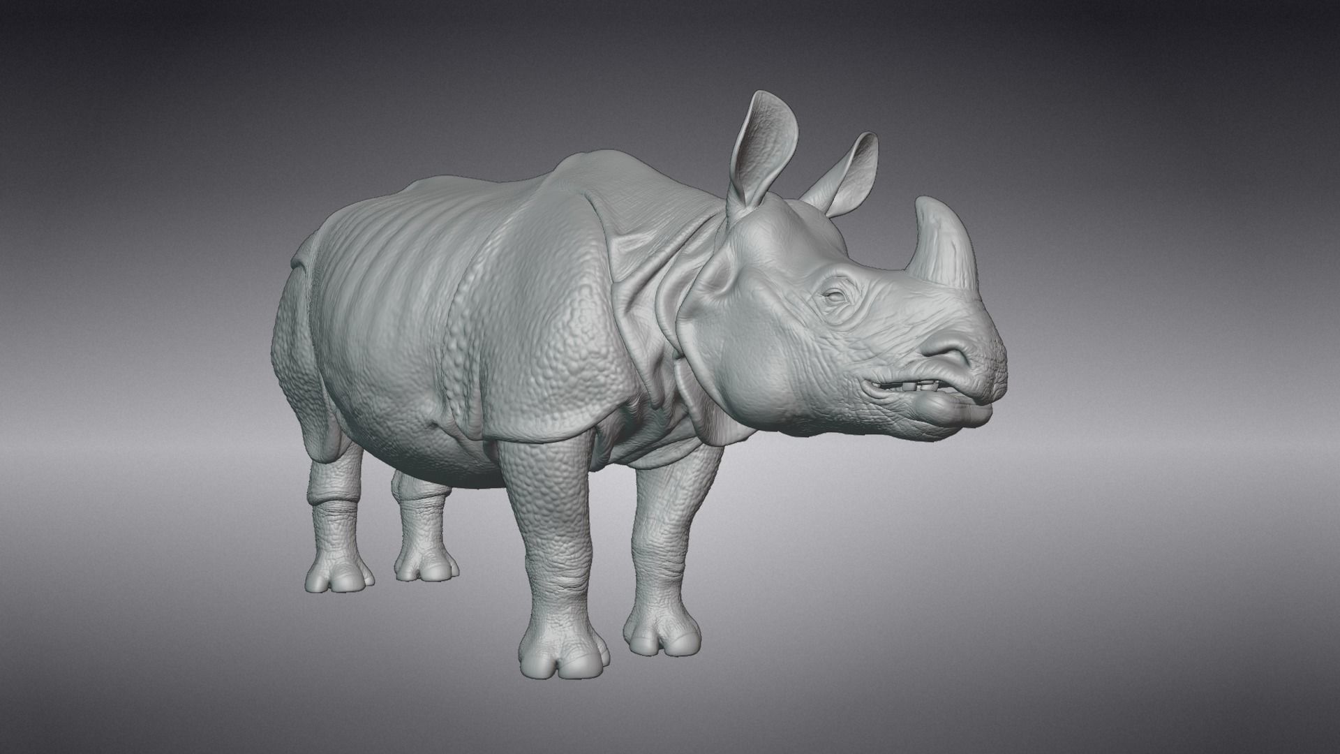 Indian Rhinoceros Rigged  VFX Grace 3D model_13