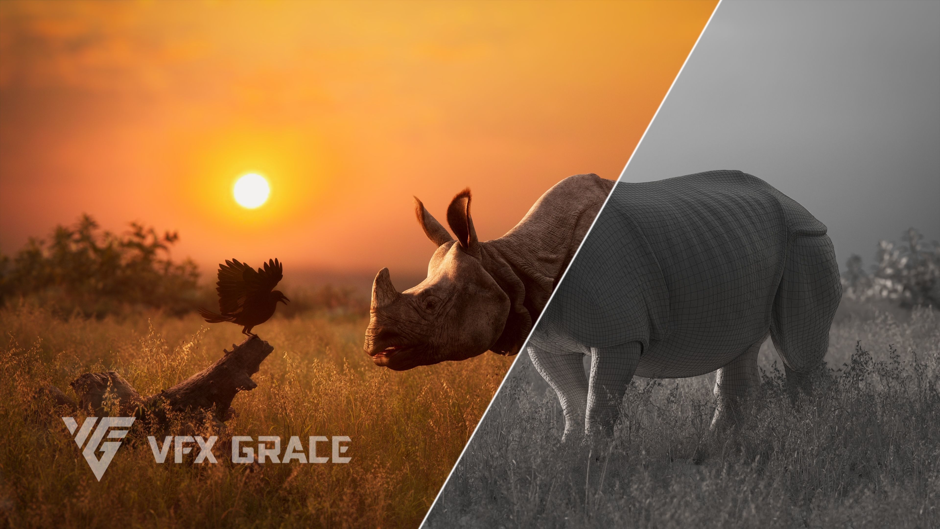 Indian Rhinoceros Rigged  VFX Grace 3D model_4