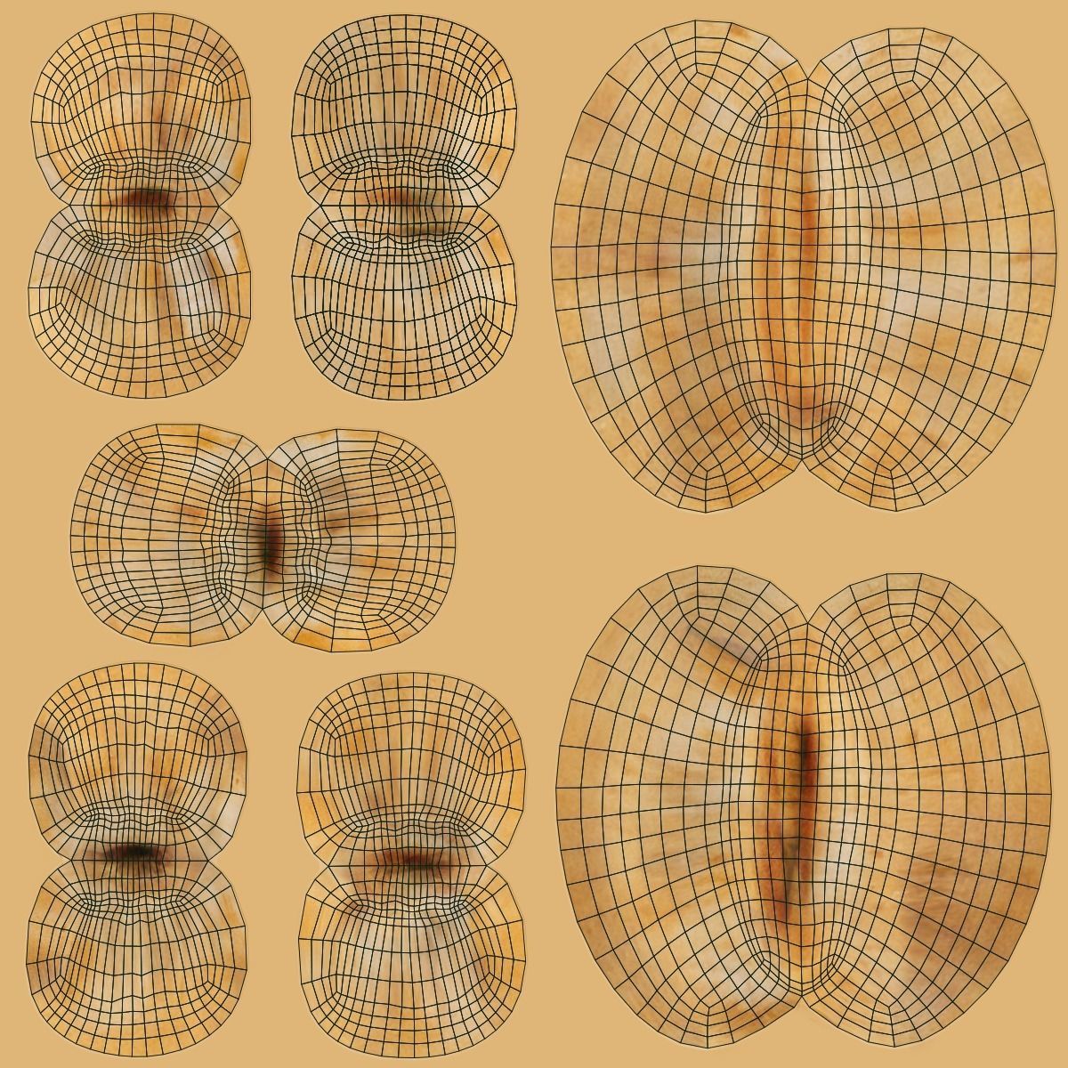 Indian Rhinoceros Rigged  VFX Grace 3D model_18