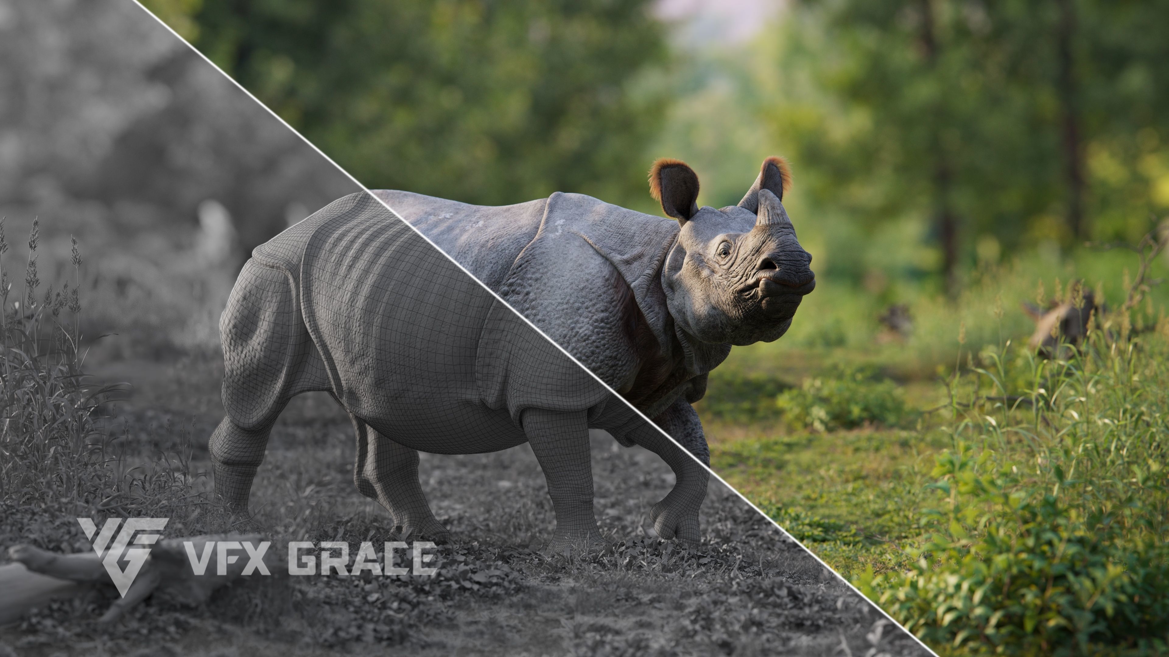 Indian Rhinoceros Rigged  VFX Grace 3D model_2