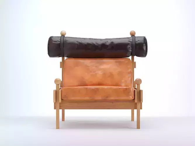 Arm Chair Sergio Rodrigues 