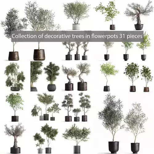 Collection of decorative trees 31 pieces 3D model