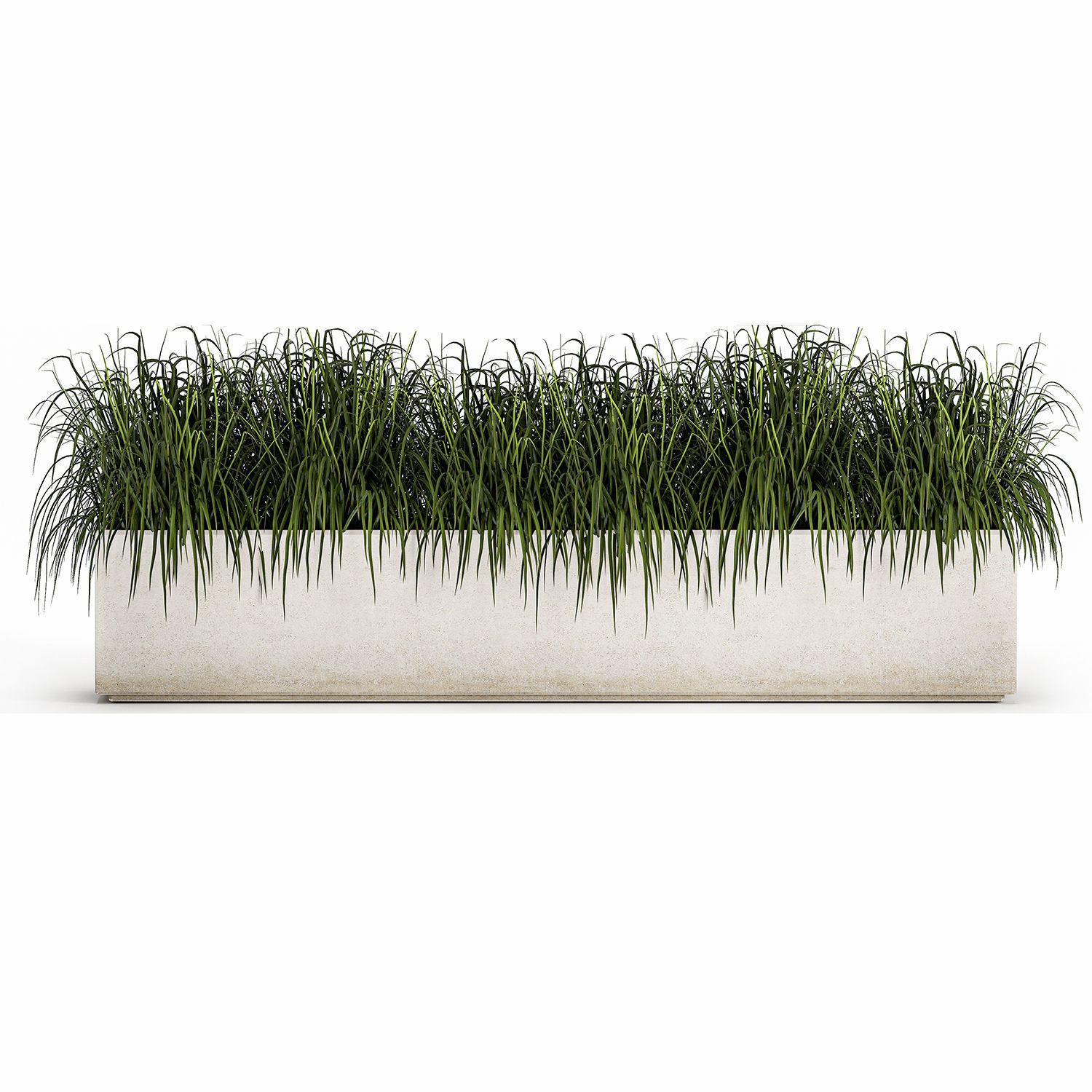 Potted reeds for landscaping 1075 3D model_5