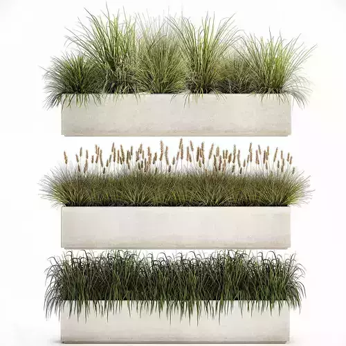 Potted reeds for landscaping 1075 3D model