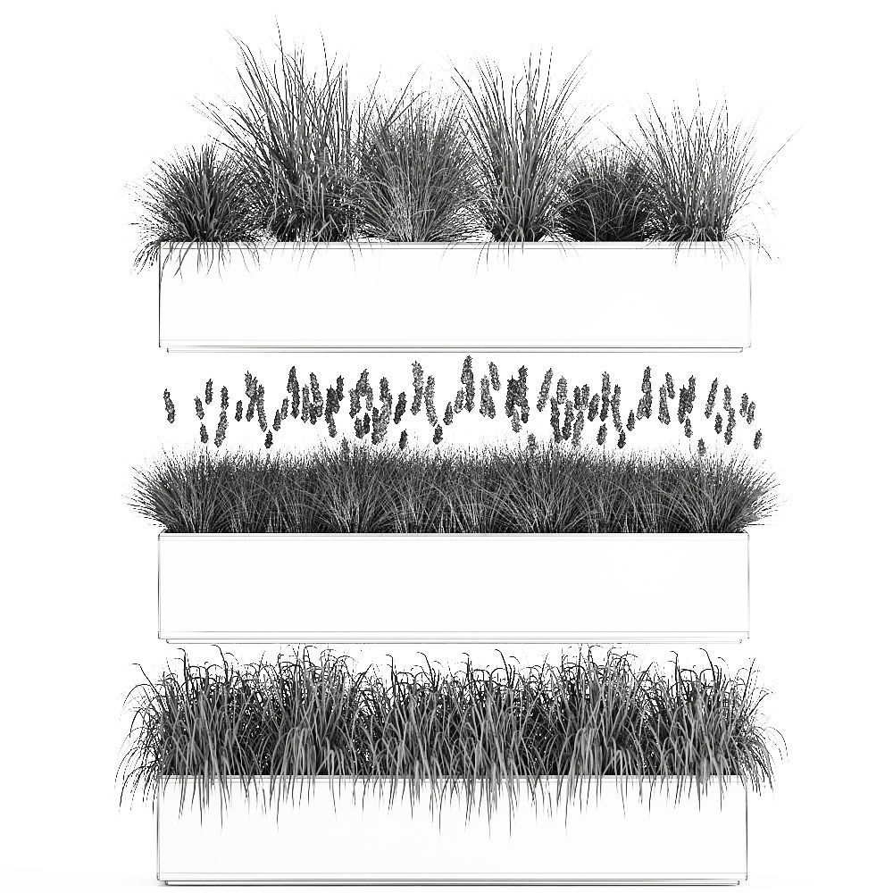 Potted reeds for landscaping 1075 3D model_6