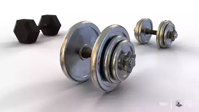 One handed dumbells