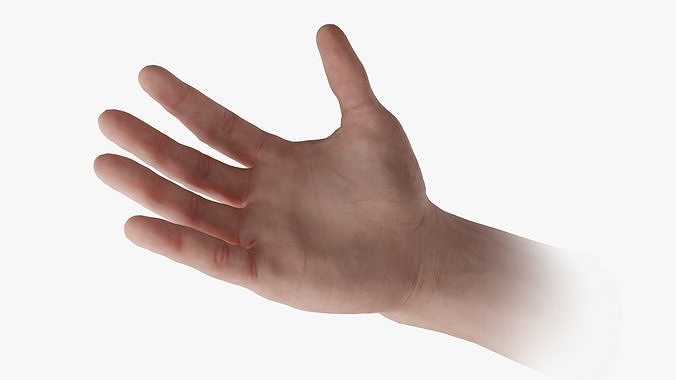 Human Hand  Low-poly 3D model