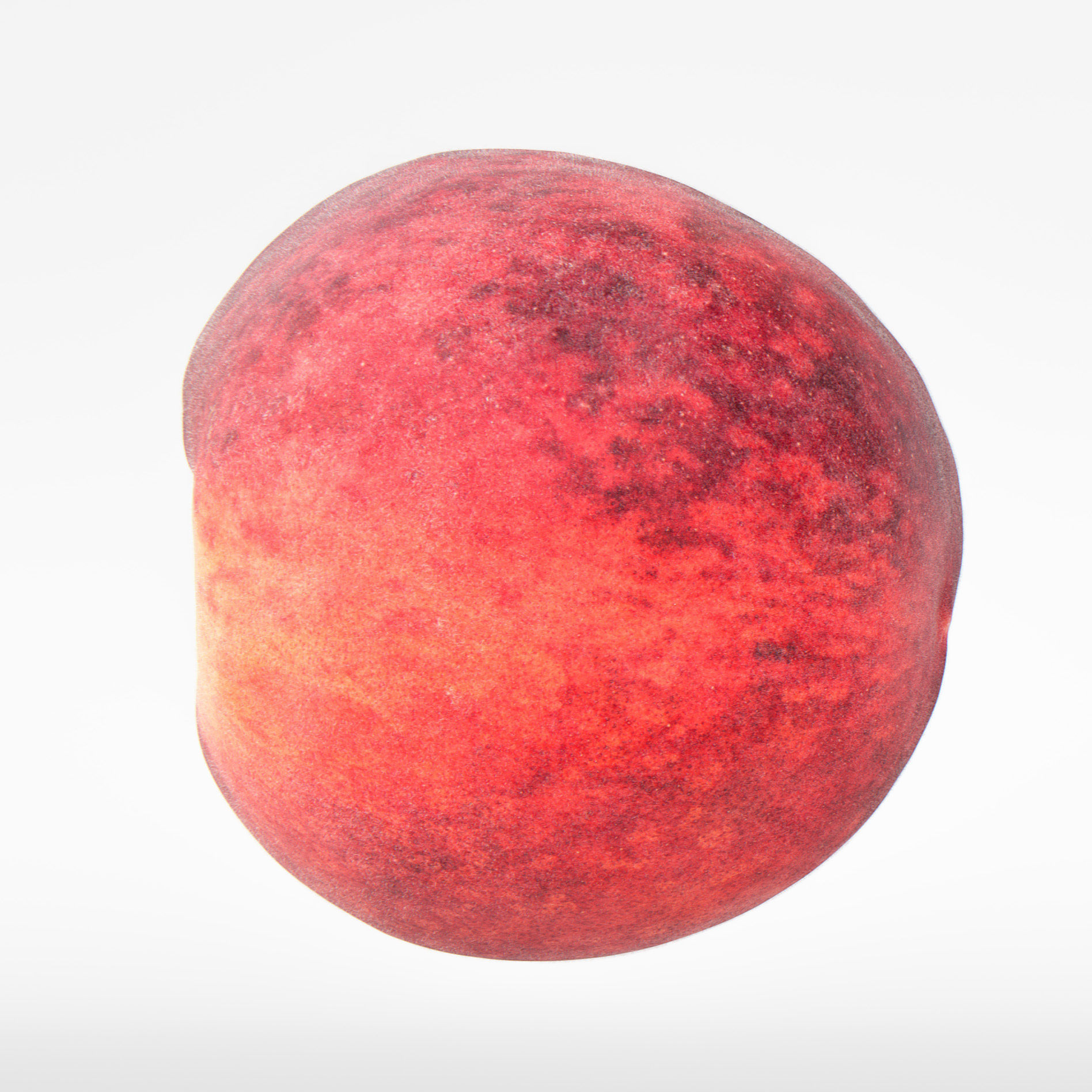 Peach 3D model_5