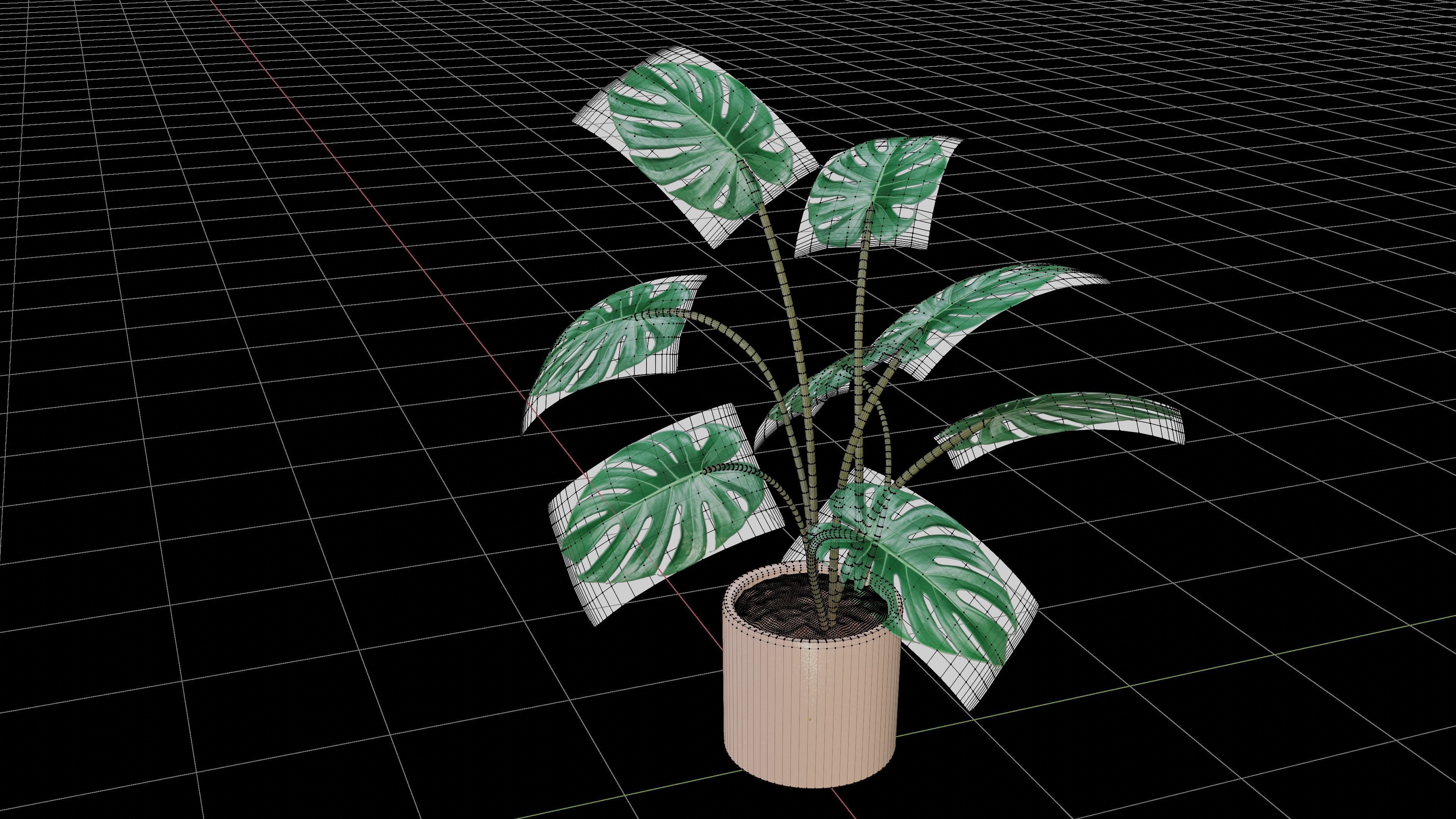 Modern exotic plant in a terracotta pot Low-poly 3D model_3