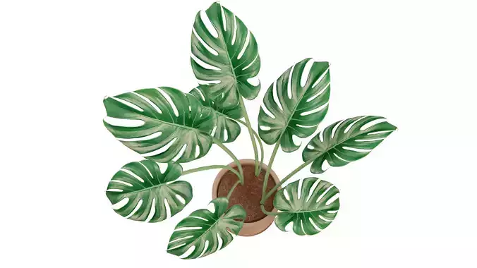 Modern exotic plant in a terracotta pot Low-poly 3D model