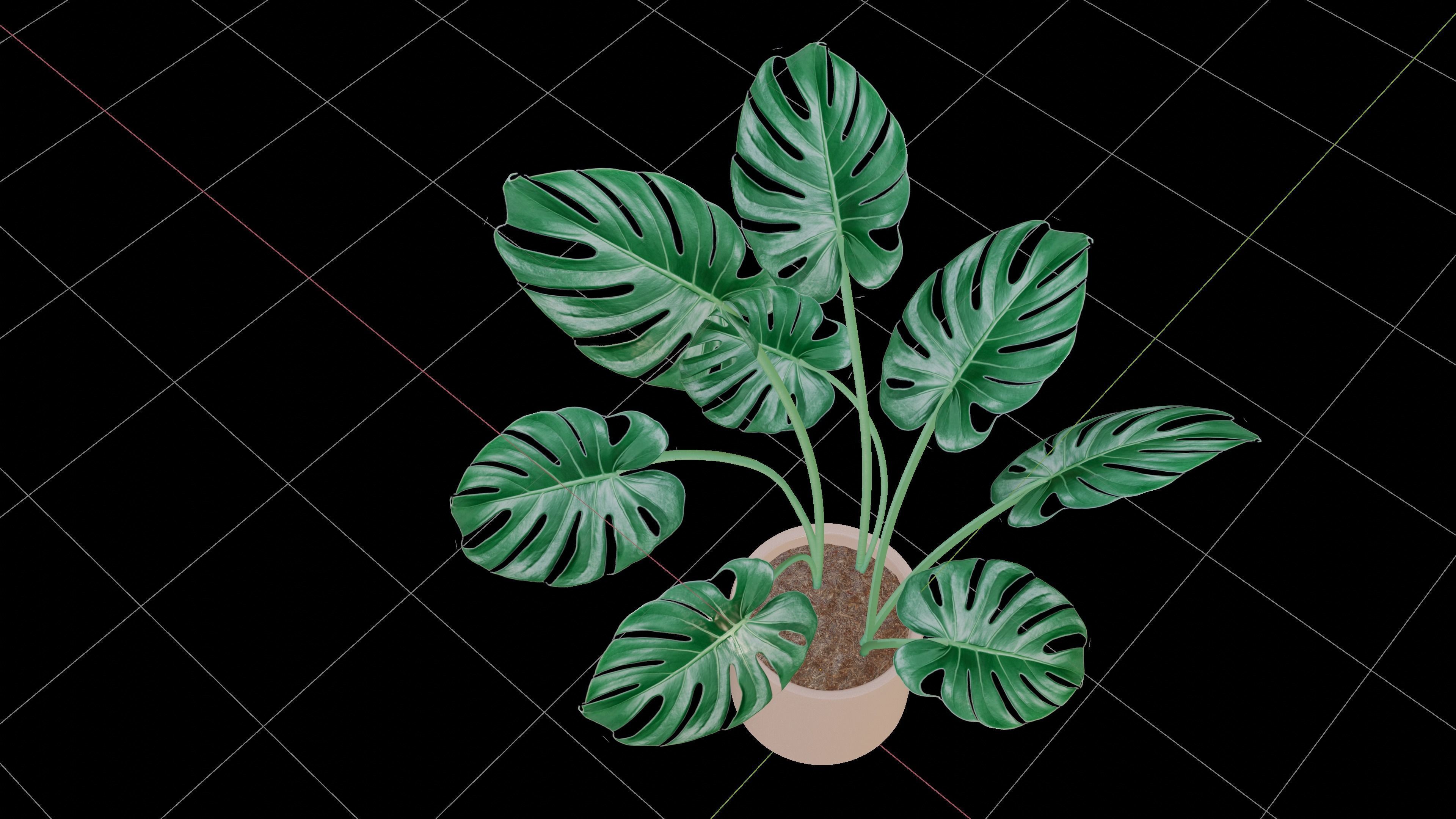Modern exotic plant in a terracotta pot Low-poly 3D model_11