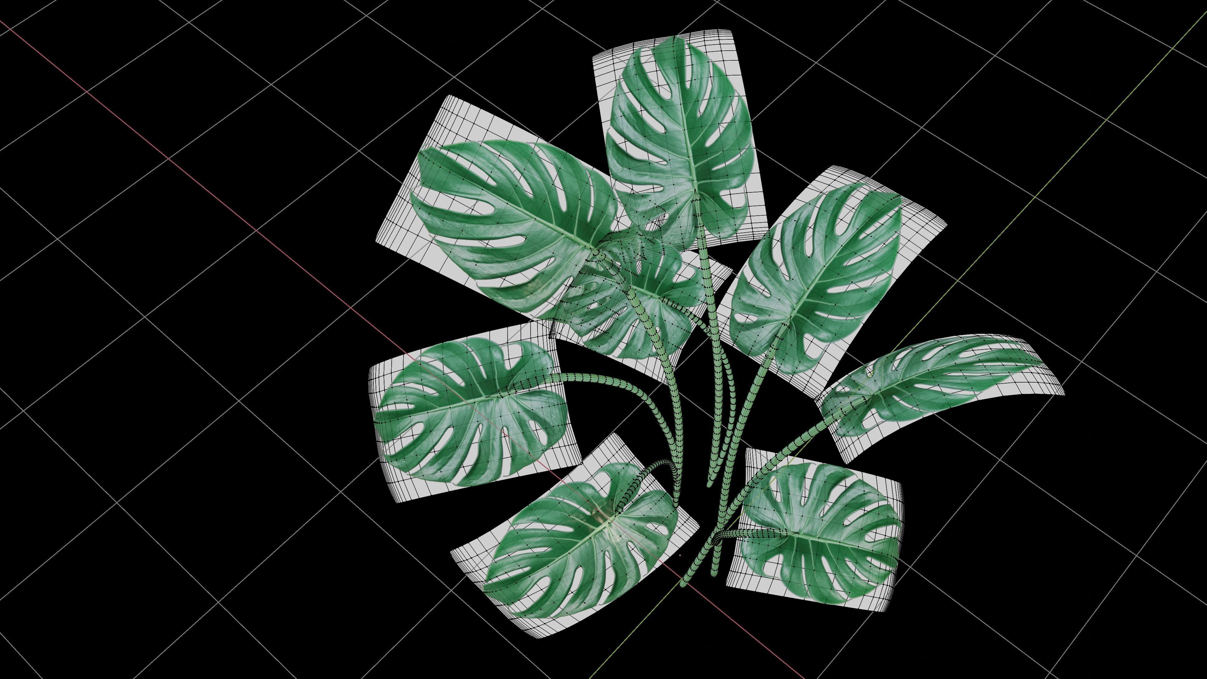 Modern exotic plant in a terracotta pot Low-poly 3D model_9