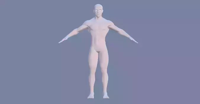 Male body 