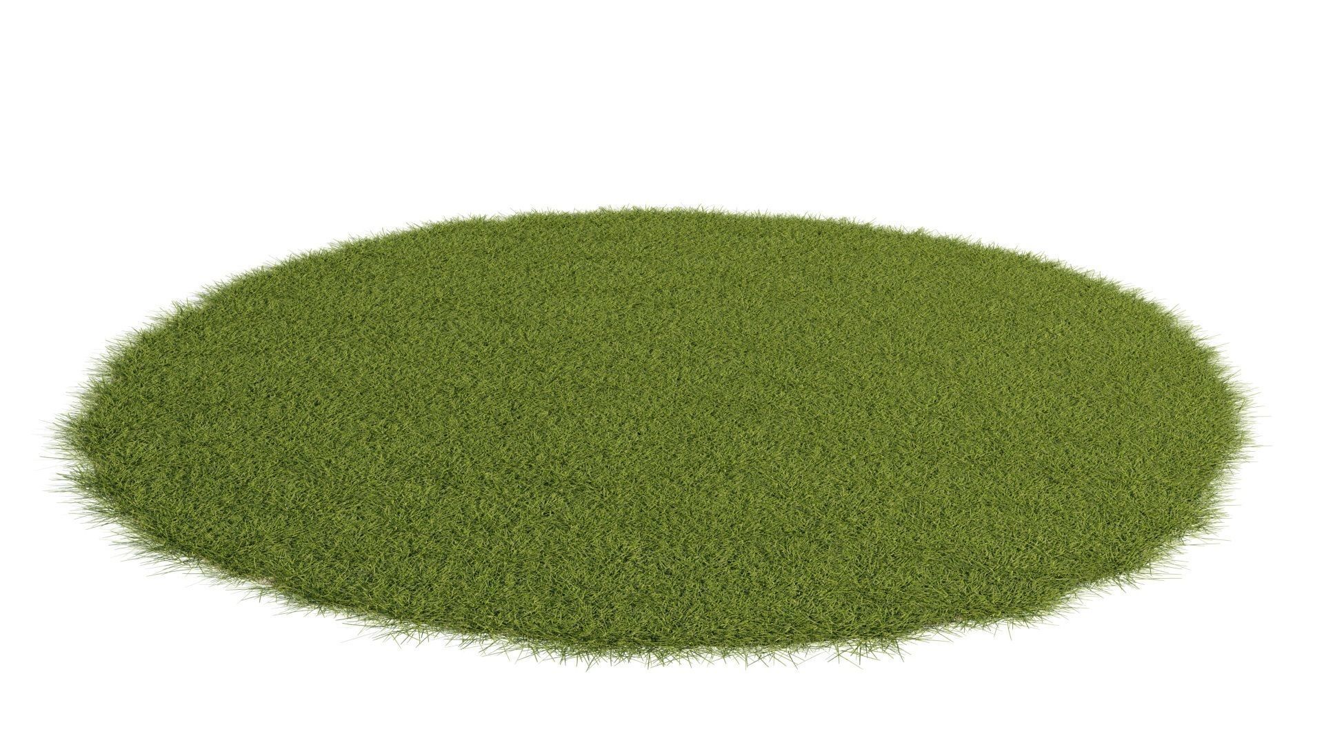 Grass set in circle 3D model_6